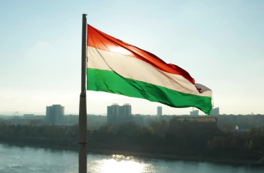 Reasonable Immigration Study in Croatia Services