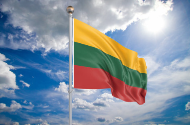 Reasonable Immigration Study in Lithuania Services