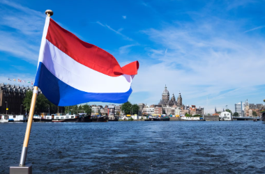 Reasonable Immigration Study in Netherlands Services
