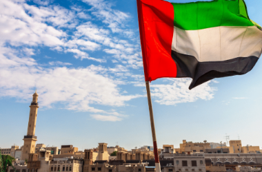 Reasonable Immigration Study in UAE Services